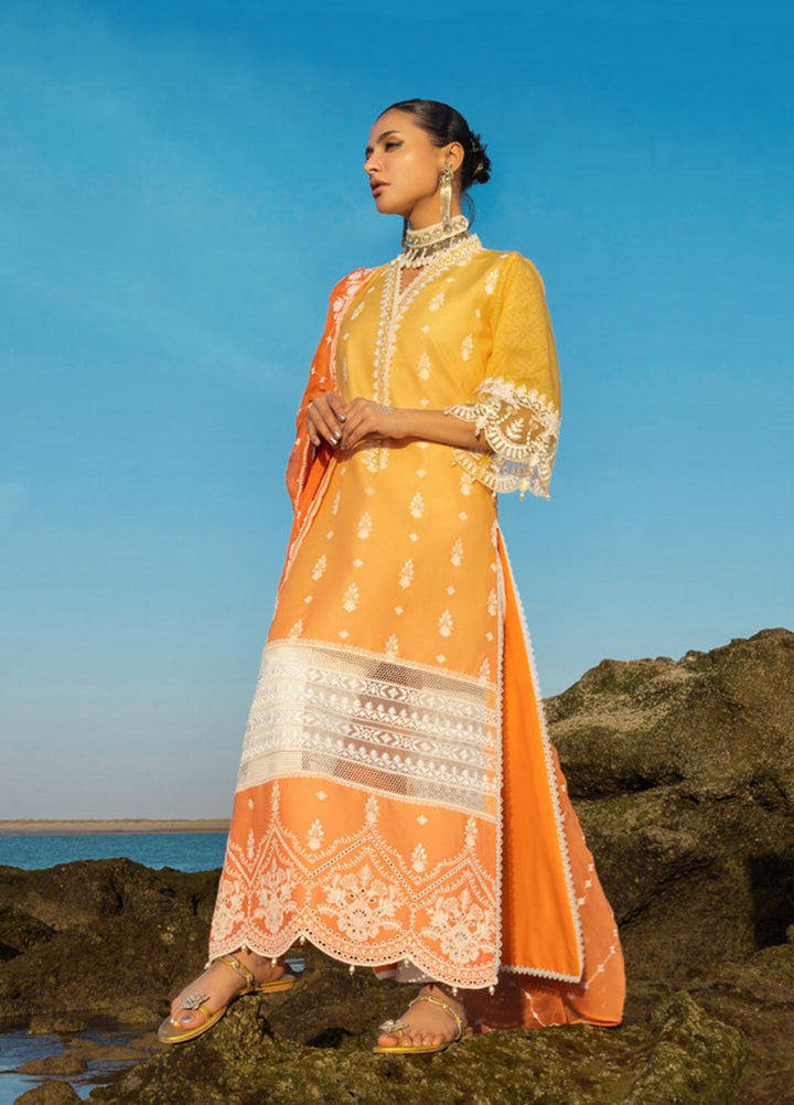 Zainab Chottani Embroidered Lawn Suits Unstitched 3 Piece AFSANA ZC23CHN 08-B - Luxury Lawn Collection