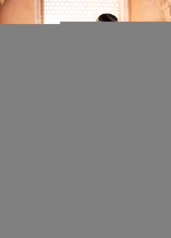 Zardozi By AIK Atelier Embroidered Velvet  Unstitched Saree AIK23Z Look 06 - Premium Collection