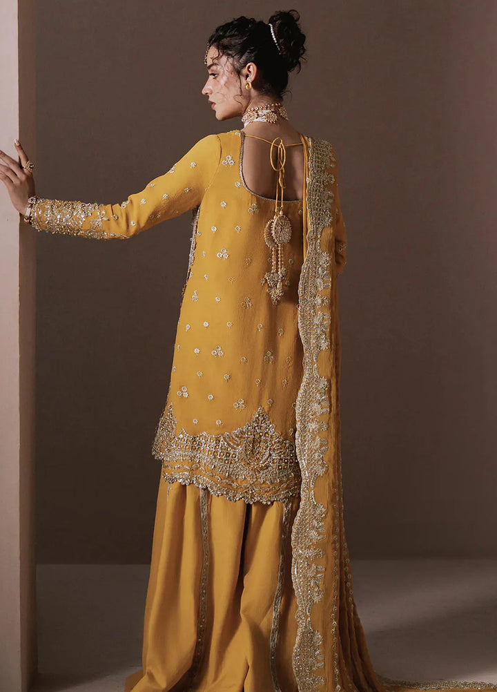 Zarposh Pret Embroidered Chiffon 3 Piece Suit Dhanak