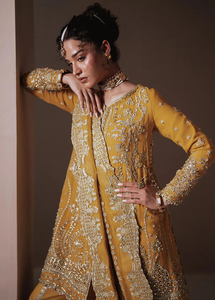 Zarposh Pret Embroidered Chiffon 3 Piece Suit Dhanak