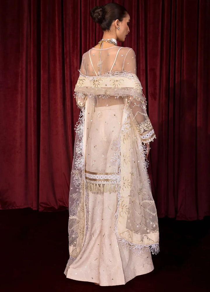 Embroidered Net 3 Piece Suit