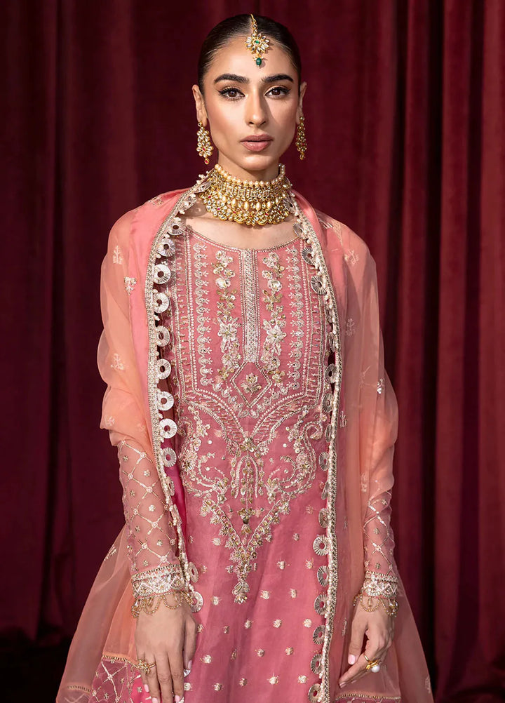 Embroidered Organza 3 Piece Suit