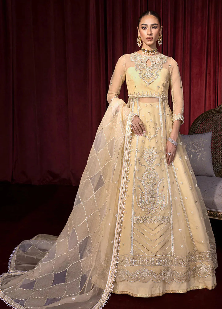 Embroidered Organza 3 Piece Suit