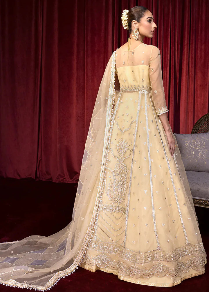 Embroidered Organza 3 Piece Suit