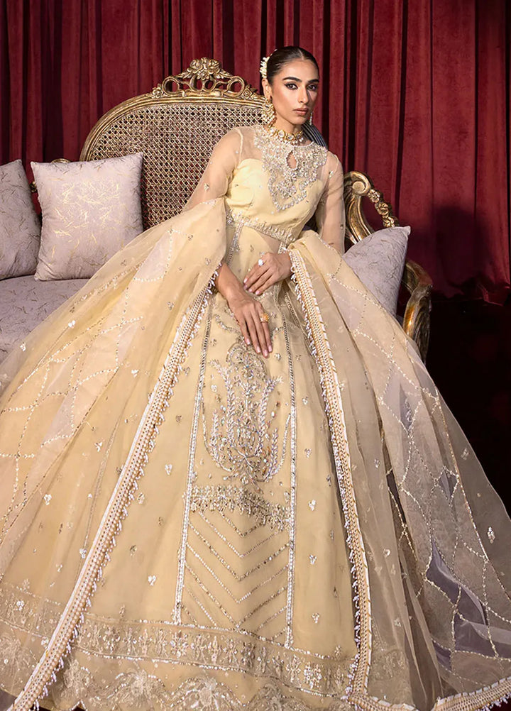 Embroidered Organza 3 Piece Suit