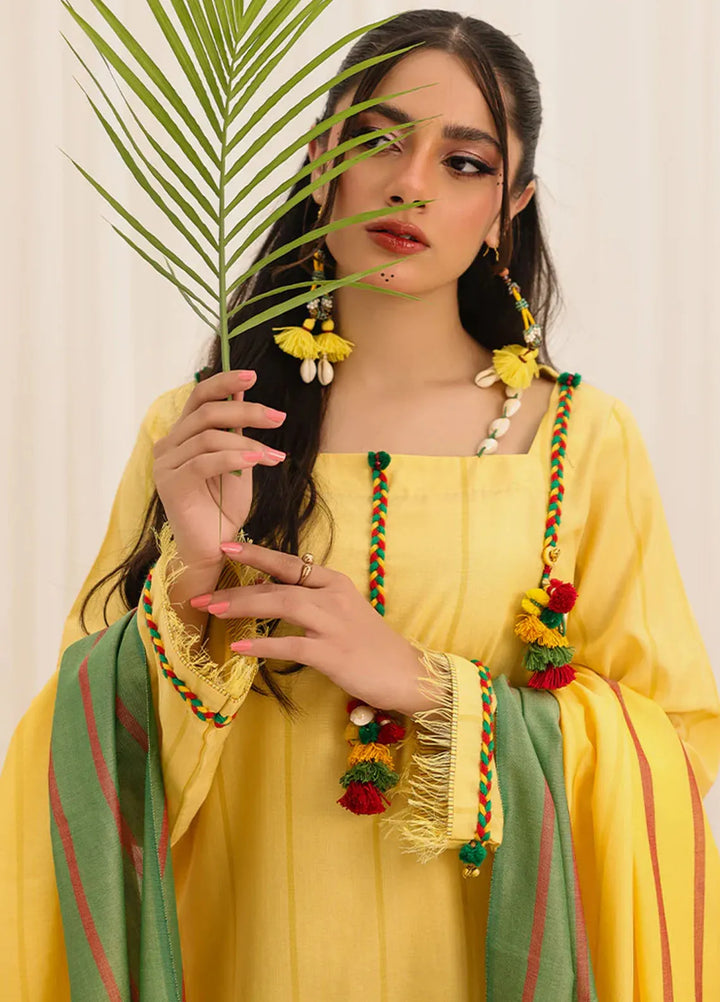 Zlooms Printed Yarn Dyed Suit Unstitched 3 Piece ZL25-C10-01 - Summer Collection