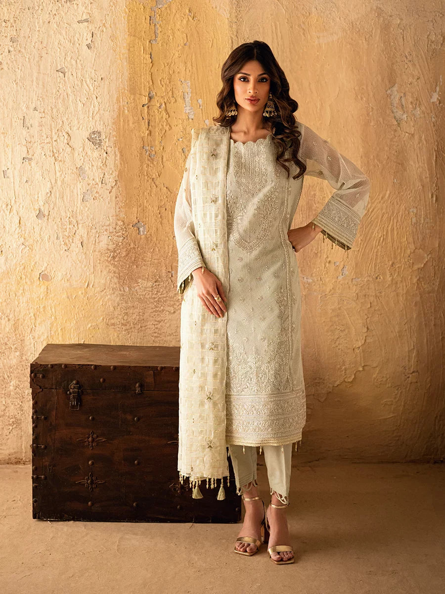 Salitex Unstitched Embroidered Net 3 Piece Suit SUNS7JI051UT - Eid Collection