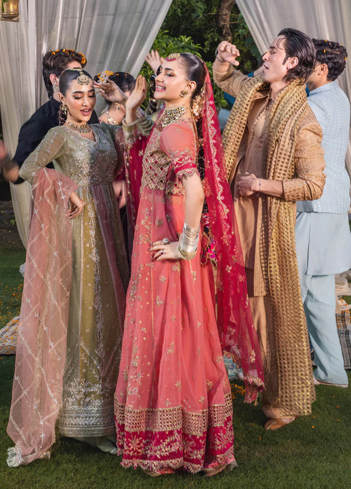 Rang Rasiya Embroidered Organza Suits Unstitched 3 Piece RR25WF D-03 Narmeen - Wedding Collections
