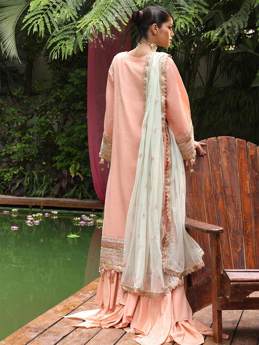 Salitex Women Embroidered Yarn Dyed 3 Piece Suit SUNS24NO003 - Summer Collection