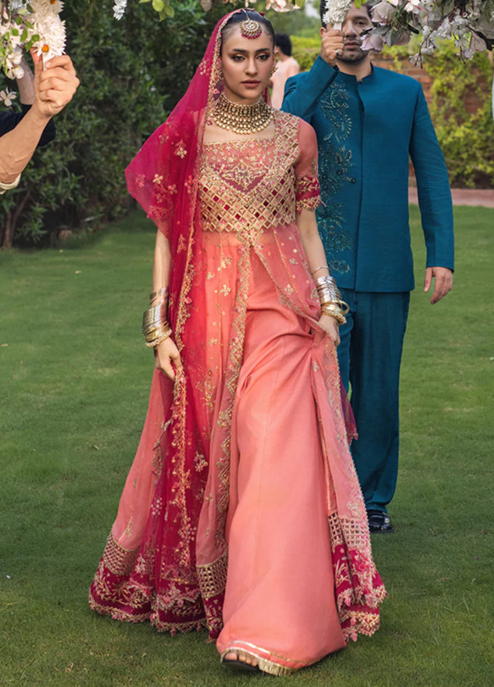 Rang Rasiya Embroidered Organza Suits Unstitched 3 Piece RR25WF D-03 Narmeen - Wedding Collections