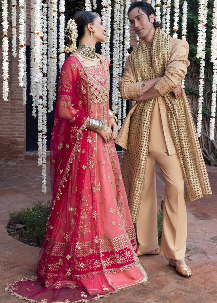 Rang Rasiya Embroidered Organza Suits Unstitched 3 Piece RR25WF D-03 Narmeen - Wedding Collections