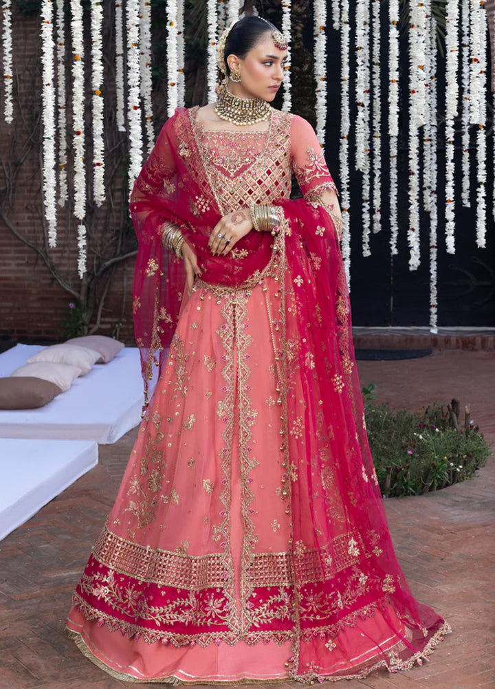 Rang Rasiya Embroidered Organza Suits Unstitched 3 Piece RR25WF D-03 Narmeen - Wedding Collections