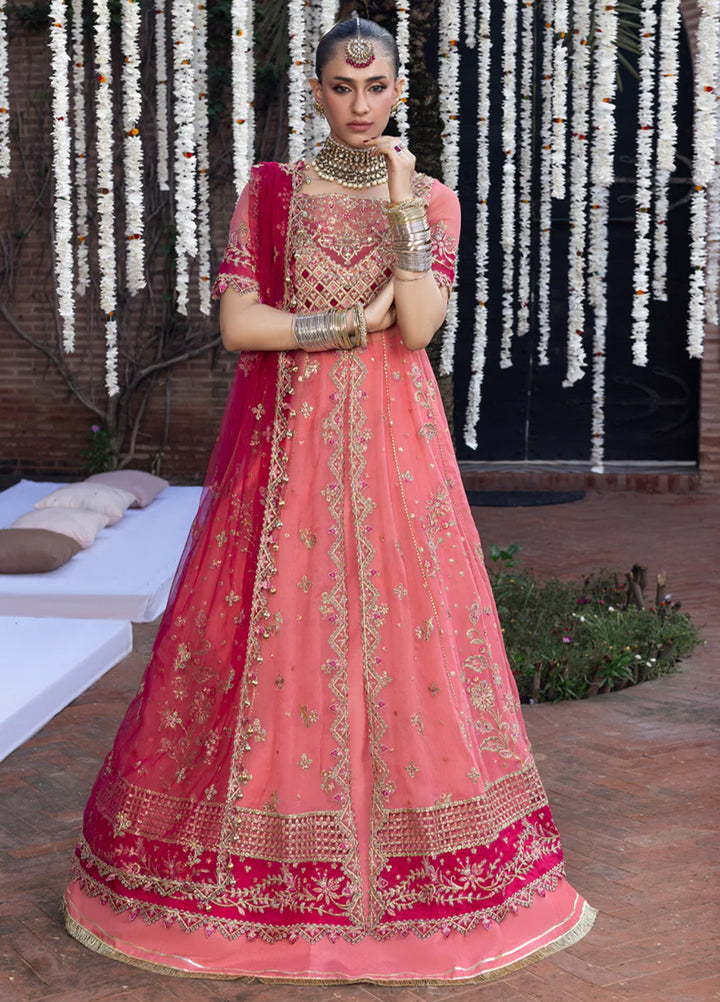 Rang Rasiya Embroidered Organza Suits Unstitched 3 Piece RR25WF D-03 Narmeen - Wedding Collections