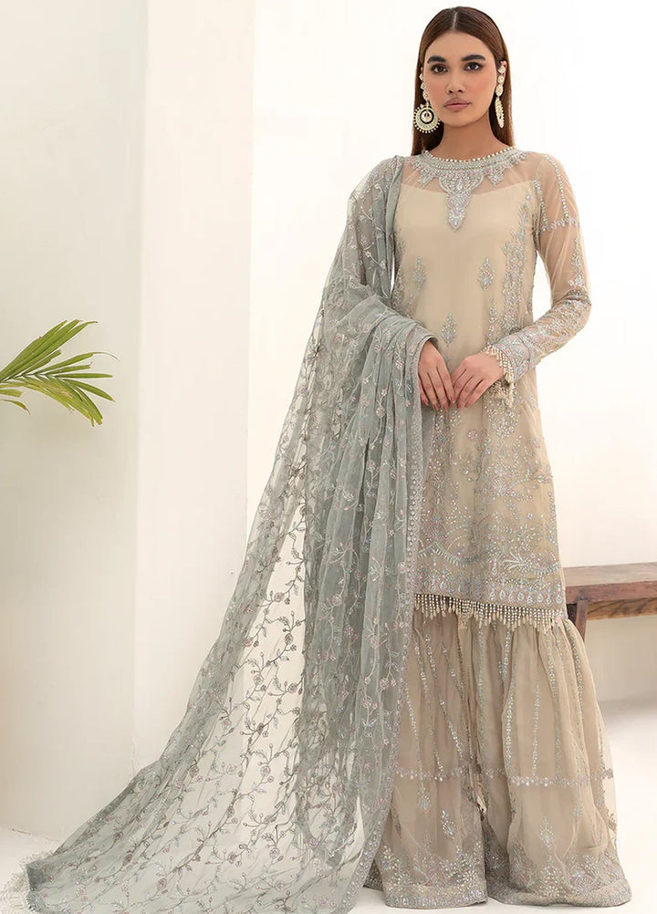 Nazneen By Zarif Embroidered Net Suits Unstitched 4 Piece ZR25UF ZN 04 Moon Light - Luxury Formal Collection