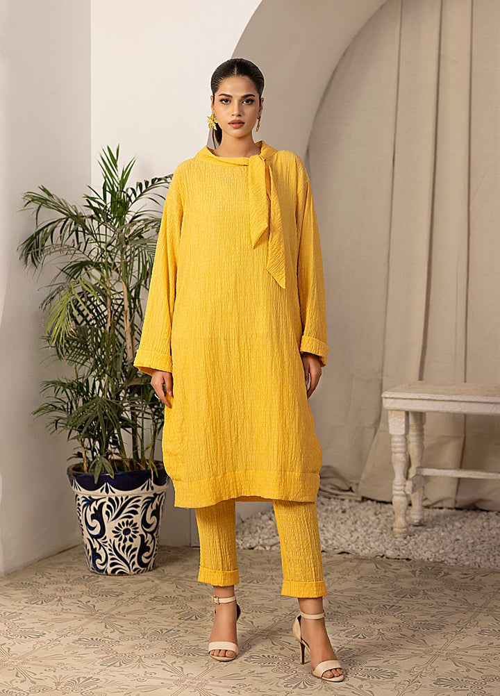 Salitex Women Solids Georgette 2 Piece Suit SPL2PBC015 - Summer Collection