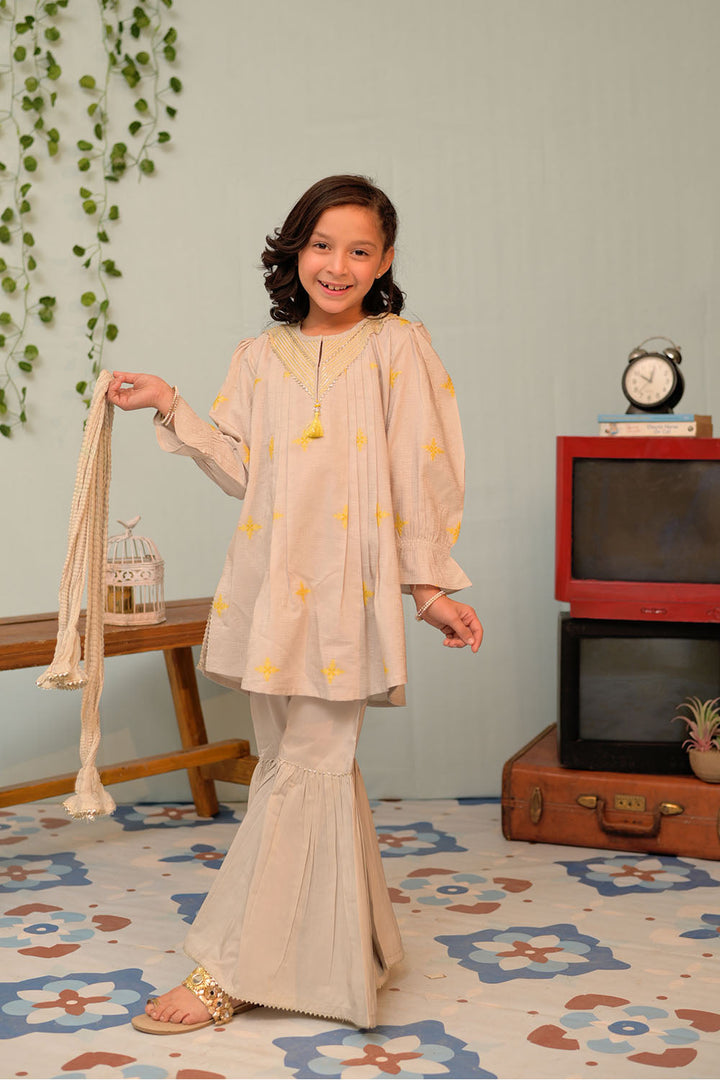 Senorita Kids RTW Grey and Multicolor Casual Plus 3 Piece Suit Viscose Filament Jacquard KBD-02911 - Summer Collection