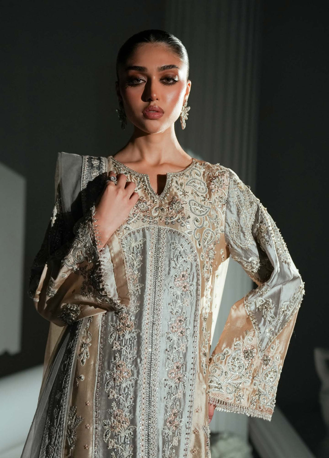 Elyse by Zariya Unstitched Embroidered Net 3 Piece Suit ZA26UEW Dovegray ZSU-6306 - Wedding Collection