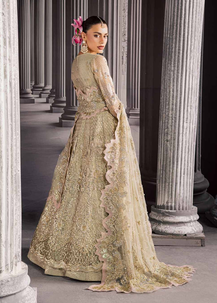 Muse Formal by Nureh Unstitched Embroidered Net 3 Piece Suit NU26UMF NFM-03 - Wedding Collection