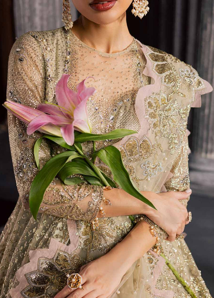 Muse Formal by Nureh Unstitched Embroidered Net 3 Piece Suit NU26UMF NFM-03 - Wedding Collection