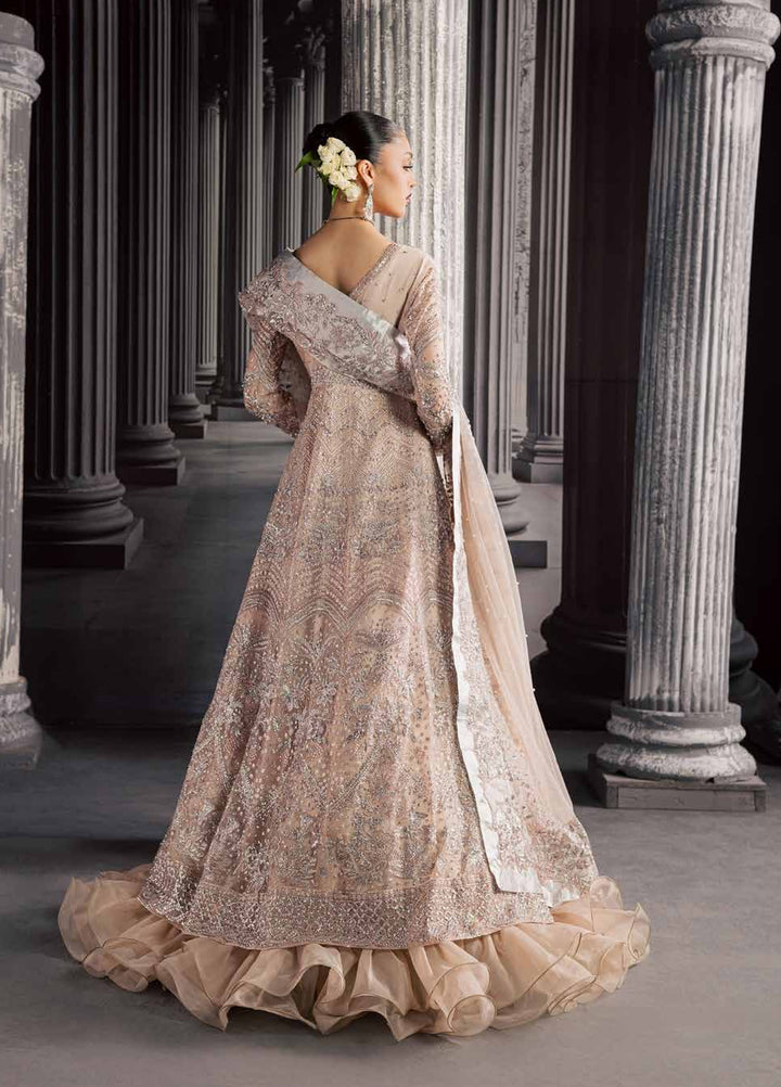 Muse Formal by Nureh Unstitched Embroidered Net 3 Piece Suit NU26UMF NFM-04 - Wedding Collection