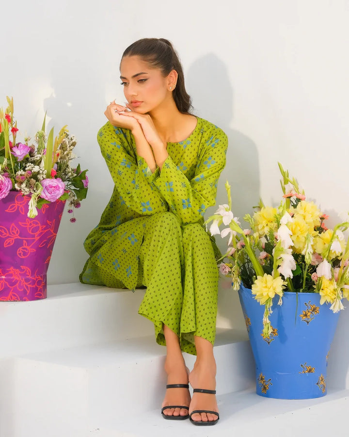 Dhaga Women Pret Printed 2 Piece Lawn Matching Separate FW24DSP009 - Summer Collection