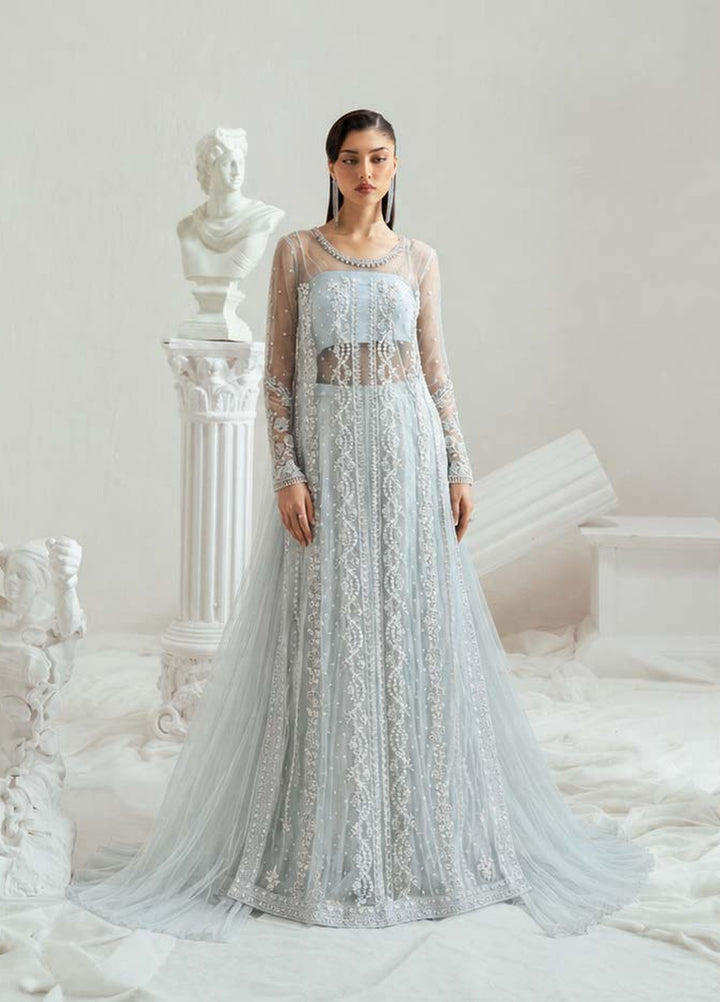 Elyse by Zariya Unstitched Hand work Net 3 Piece Suit ZA26UEW Frostina ZSU-6301 - Wedding Collection