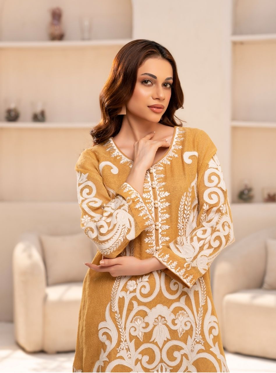 Irtiqa by Anayra Amal RTW Embroidered Organza 3 Piece Suit Elan Festive Collection