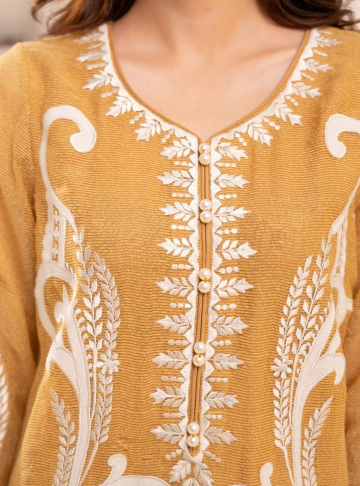 Irtiqa by Anayra Amal RTW Embroidered Organza 3 Piece Suit Elan Festive Collection