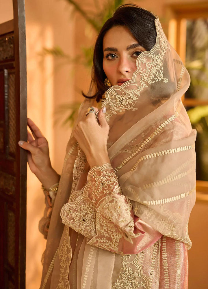 Dhanak Pret   3 Piece Suit DL-0214 PINK