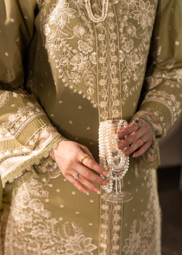 Aria By Meerak RTW Embroidered Lawn 3 Piece Suit Ayaal Festive Collection