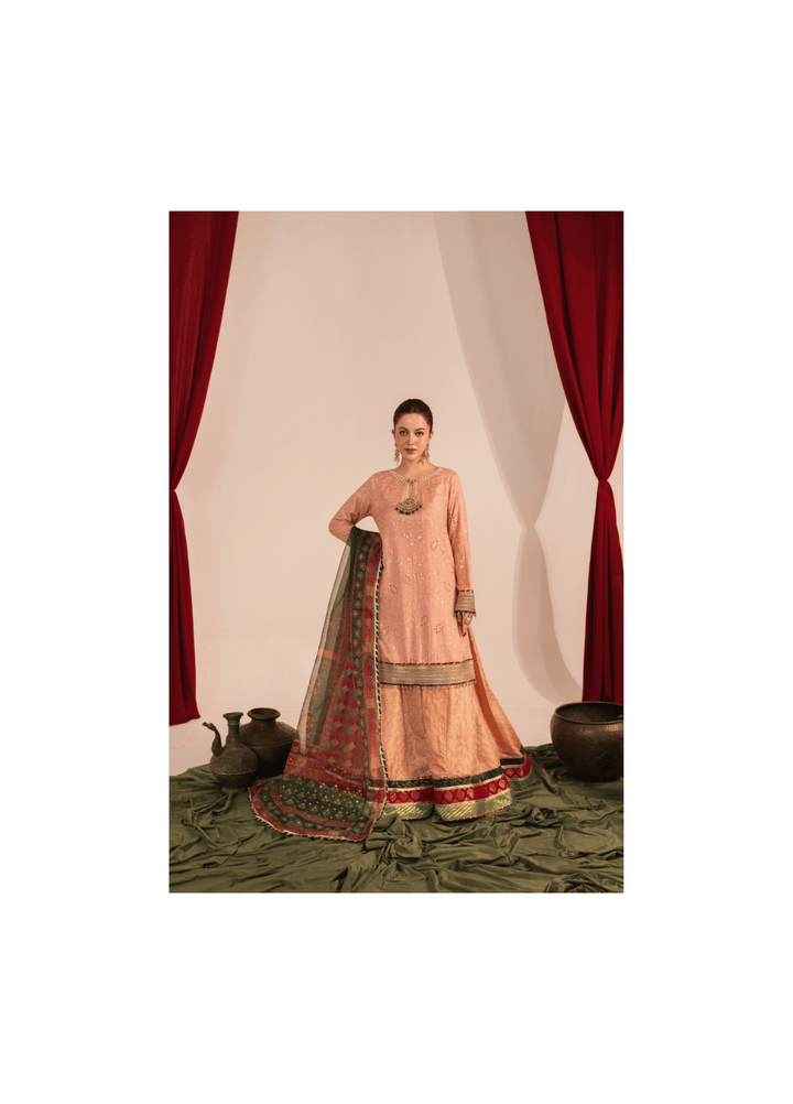 Zaaviay Blush Glow Embroidered Suits 3 Piece Pret Festive Collection