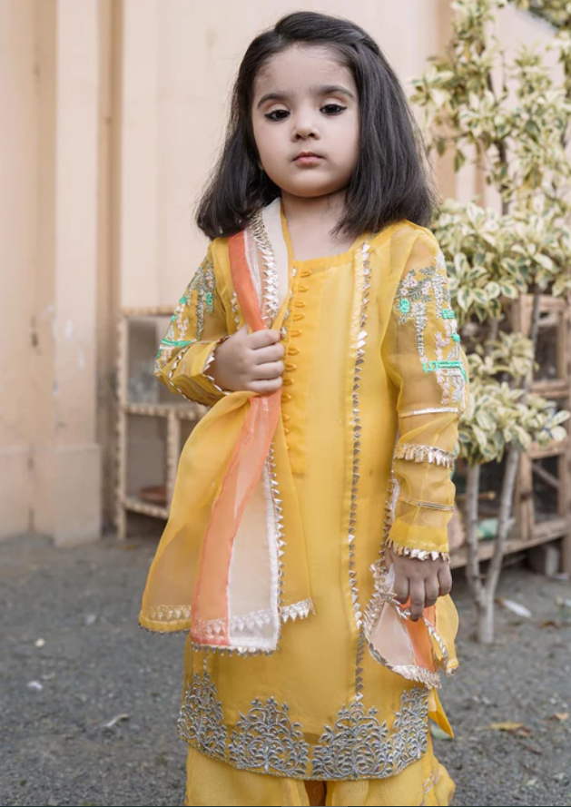 HEM Pret Embroidered Organza 4 Piece Suit Remi