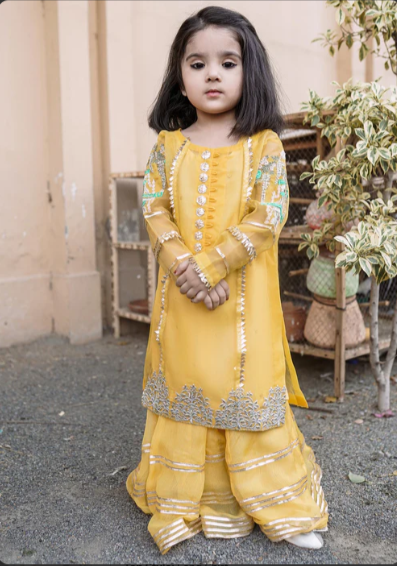 HEM Pret Embroidered Organza 4 Piece Suit Remi