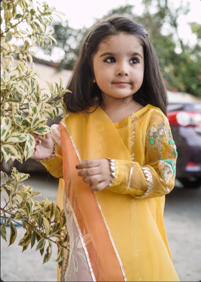 HEM Pret Embroidered Organza 4 Piece Suit Remi