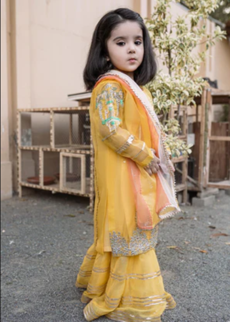 HEM Pret Embroidered Organza 4 Piece Suit Remi