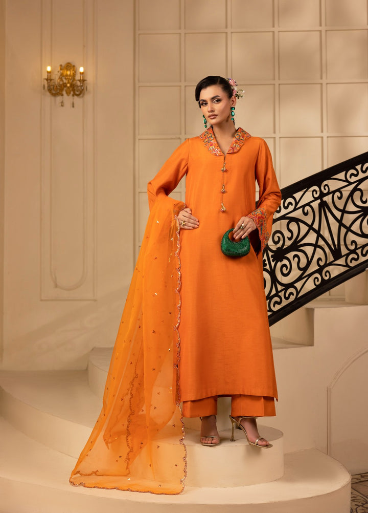 Style Nova By Tessa Pret 3 Piece Embroidered Raw Silk Sheryl - Festive Collection