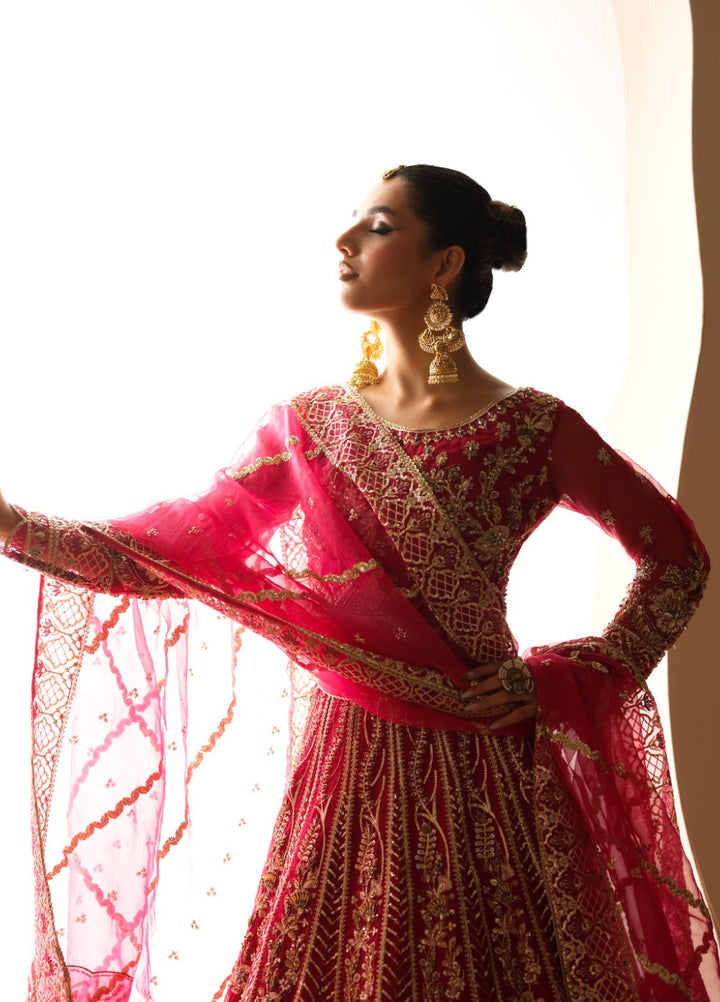 Naqash e Naaz by Wareesha 3 Piece Hand work Organza WB-04 GULNAAR - Formals Collection