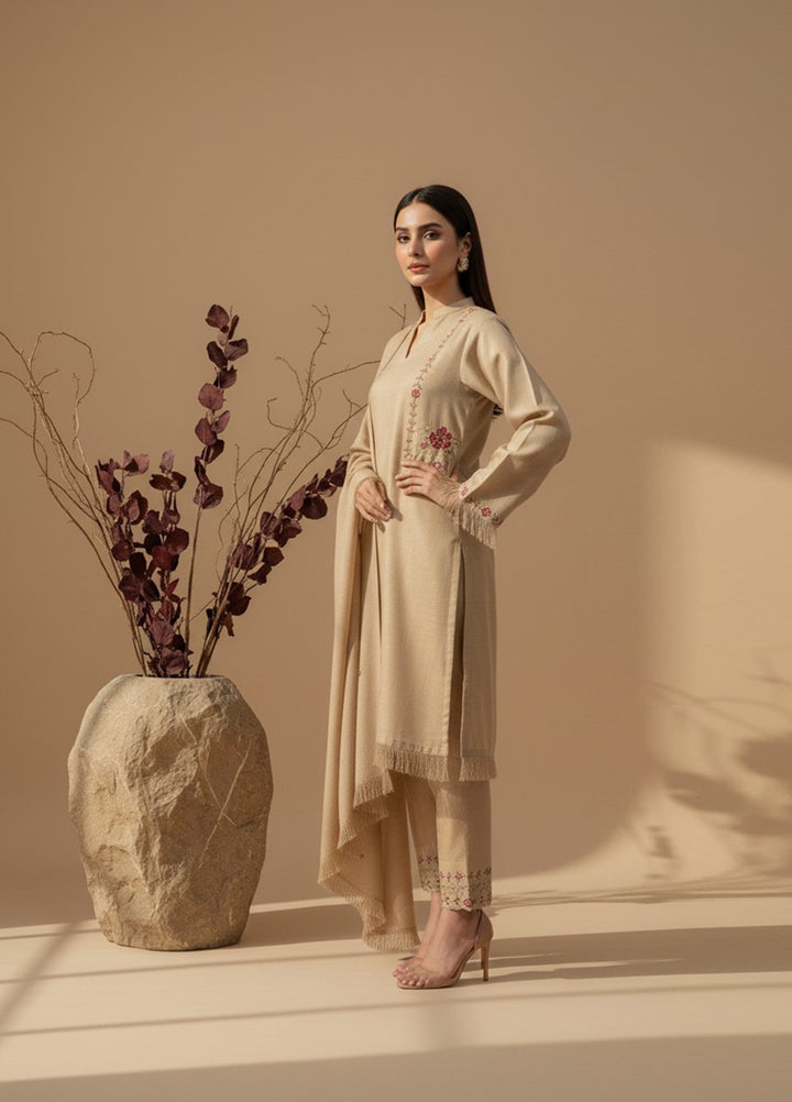 Eira by Mavie Pret Pashmina 3 Piece Embroidered Zephyra - Winter Collection
