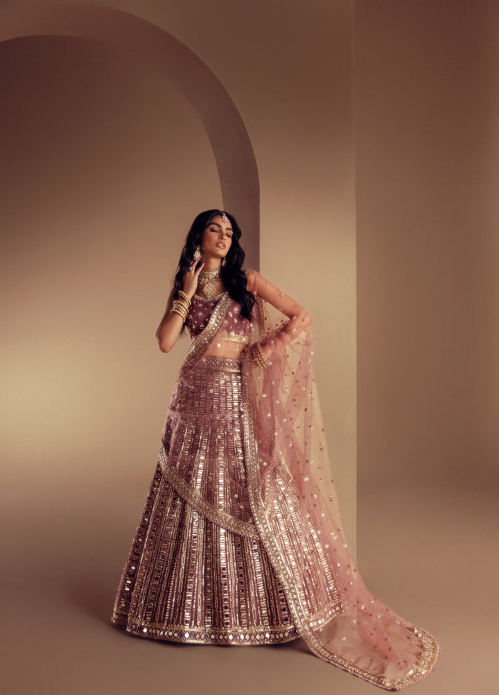 Elaya by House of Nyyra Unstitched 3 Piece Hand work Mauve Saree - Wedding Collection