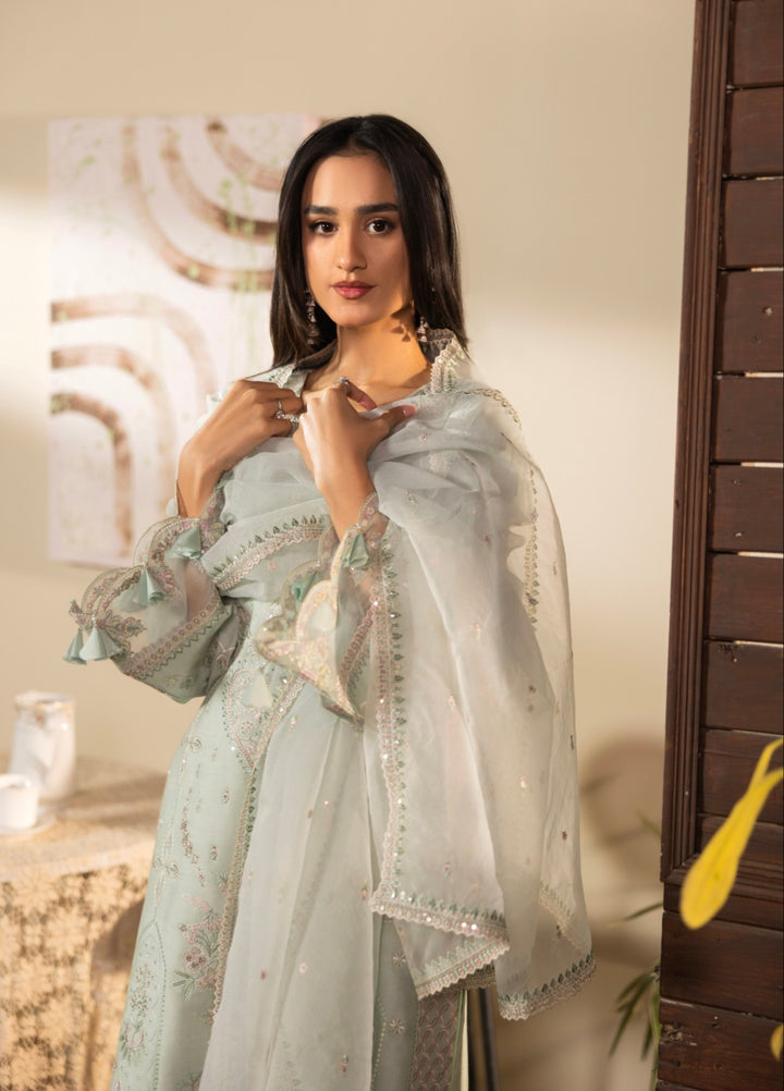 Blue Moon by Ruby Suleiman Pret 3 Piece Embroidered Viscose with Organza Winter Mist - Casual Collection
