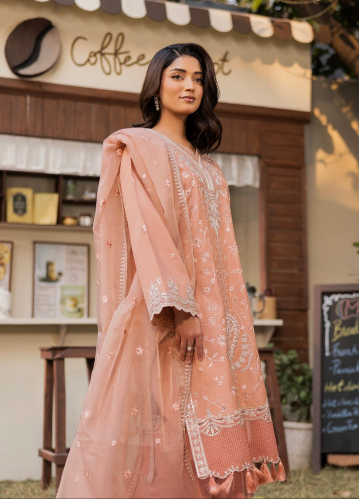 Blue Moon by Ruby Suleiman Pret 3 Piece Embroidered Viscose with Organza Blushing Ember - Casual Collection
