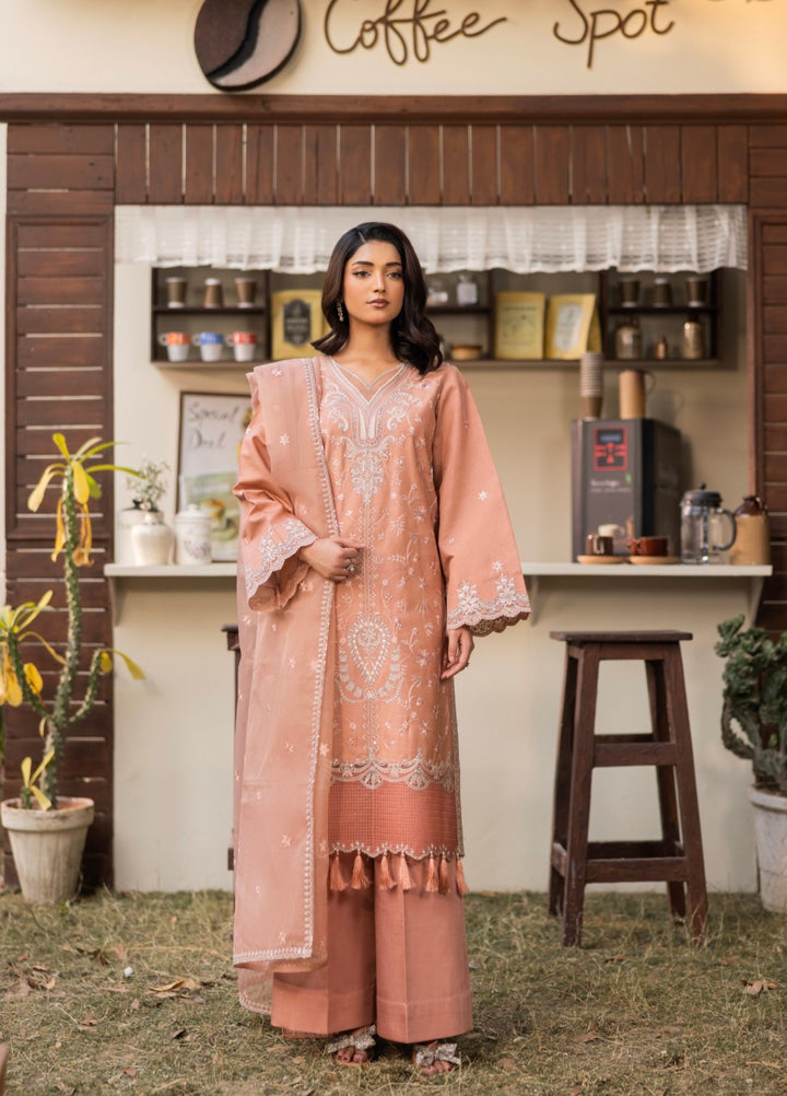 Blue Moon by Ruby Suleiman Pret 3 Piece Embroidered Viscose with Organza Blushing Ember - Casual Collection