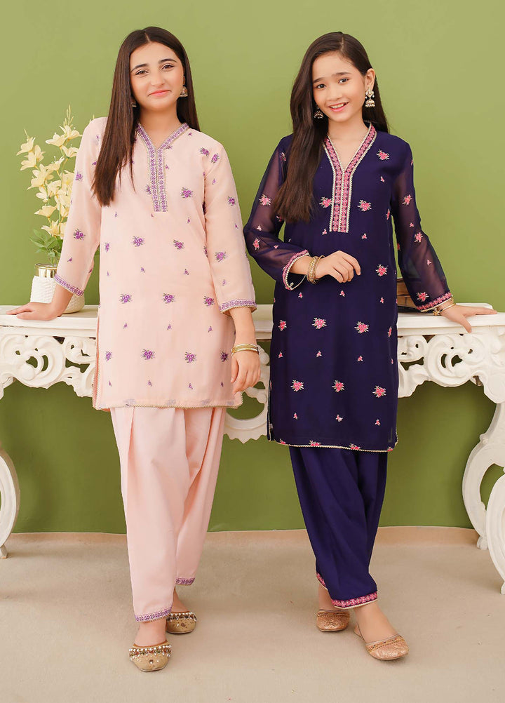 Modest Girls Pret Embroidered 3 Piece Chiffon Blue Suit D-05 - Festive Collection