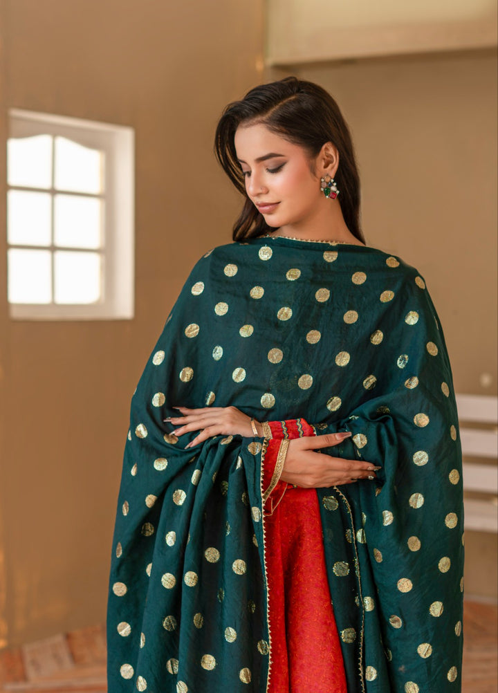 Madiha Gohar Women RTW Embroidered Shimmer Chiffon 3 Piece Mehrzaad Kalidaar - Eid Collection