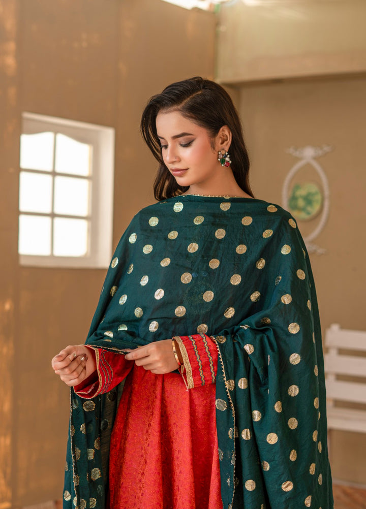 Madiha Gohar Women RTW Embroidered Shimmer Chiffon 3 Piece Mehrzaad Kalidaar - Eid Collection