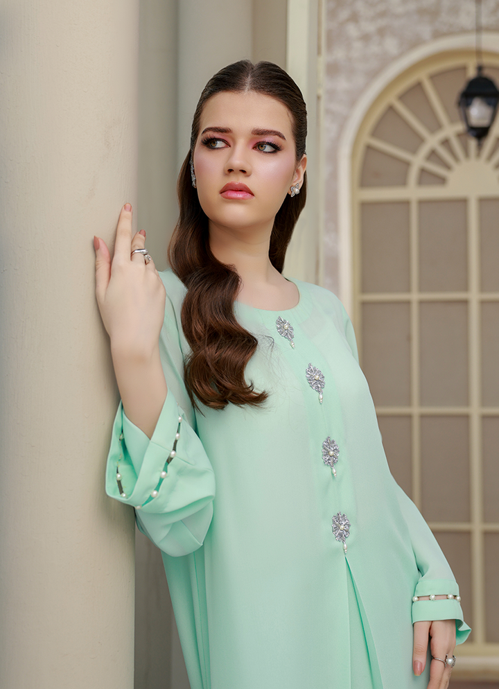 Ripret Women RTW Embroidered Double Georgette 2 Piece Frosted Ebony - Eid Collection