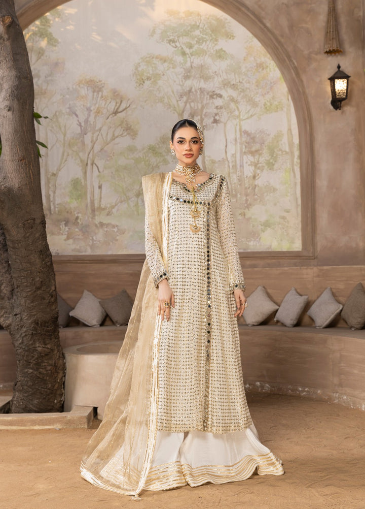 Afsana e Noor by Ibraysha RTW Hand work Chiffon 3 Piece Suit Noor-E-Aina - Wedding Collection