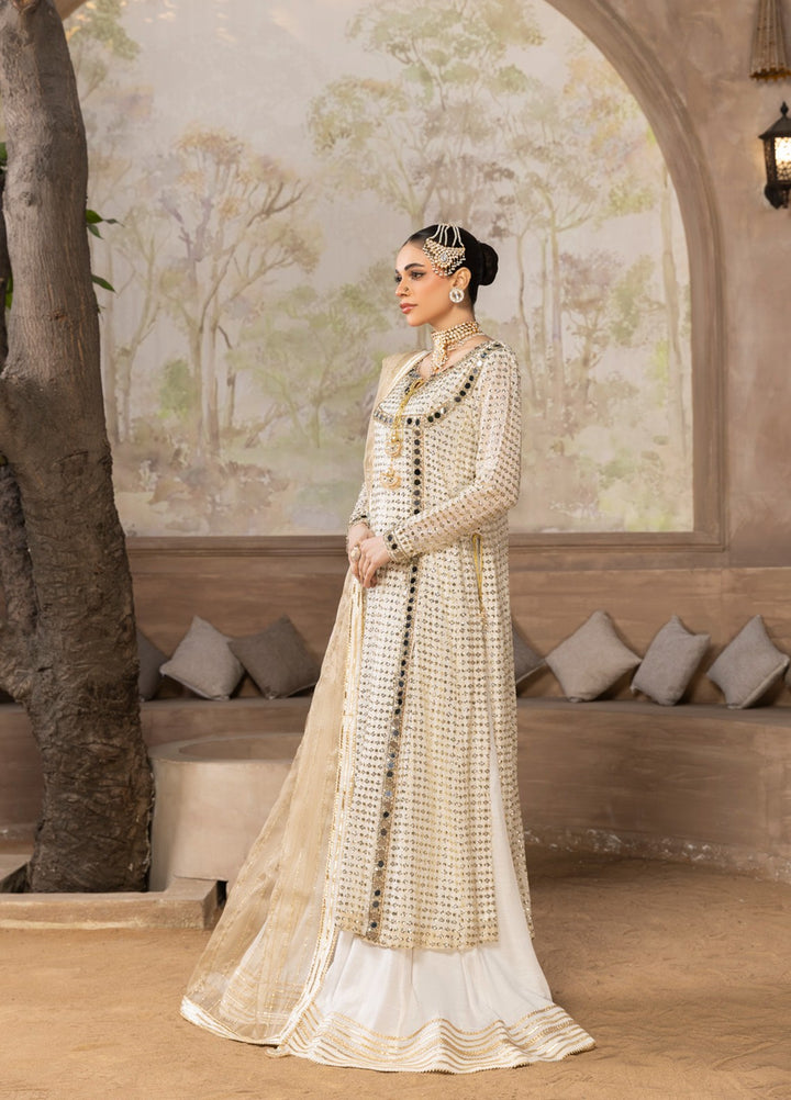 Afsana e Noor by Ibraysha RTW Hand work Chiffon 3 Piece Suit Noor-E-Aina - Wedding Collection