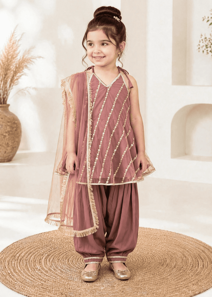Modest Girls RTW Embroidered Net 3 Piece Suit Tea Pink Festive Collection