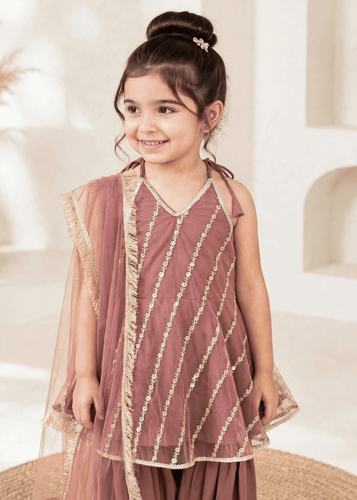 Modest Girls RTW Embroidered Net 3 Piece Suit Tea Pink Festive Collection